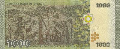 Beschrijving achterzijde: GRAPE